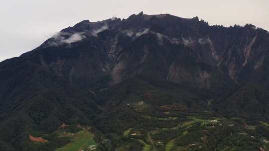 高山草原云层奶牛枚场草丛绿地