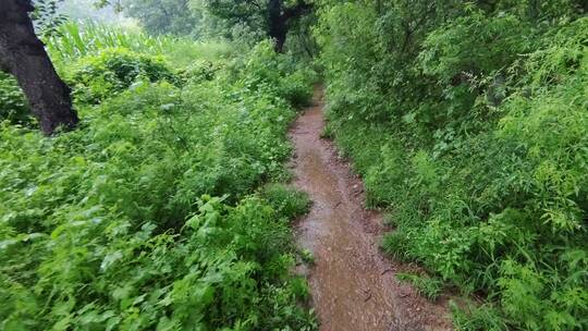 行走在下雨天泥泞的山间小路