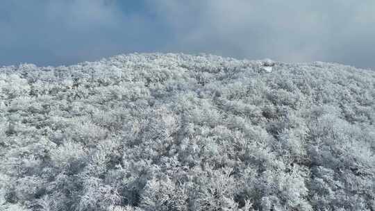 云上草原滑雪场雪景