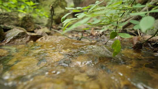 清澈山泉小溪矿泉水山涧