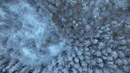 航拍东北下暴雪林海雪原威虎山