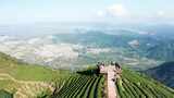 福州连江炉峰山 茶山航拍高清在线视频素材下载