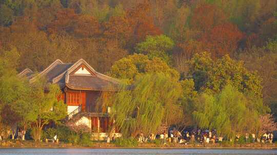 杭州西湖春天风景