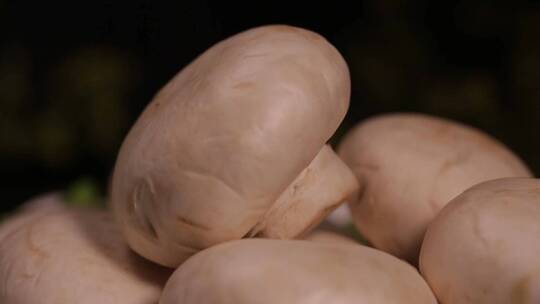 【镜头合集】食材口蘑蘑菇