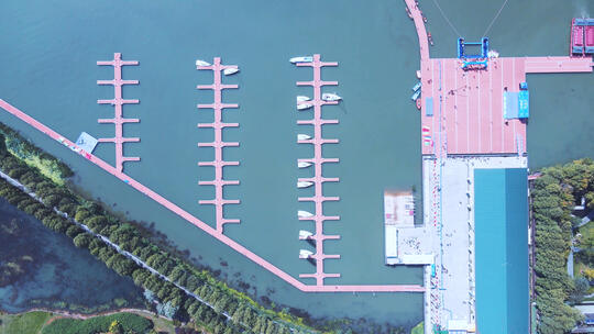 航拍武汉5A级景区东湖帆船基地码头视频素材模板下载