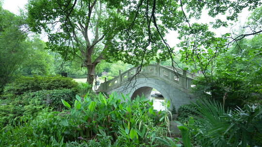 武汉东湖磨山景区盆景园