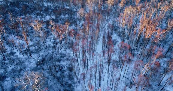 航拍大兴安岭冬季雪域密林夕照