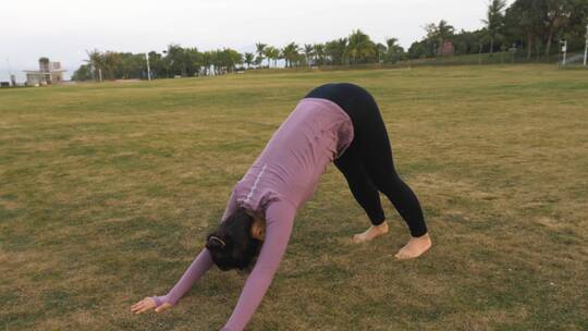 草地上练习瑜伽拉升平衡运动的女人