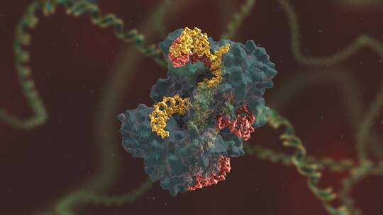 生物科学 基因编辑 DNA 基因工程 医学动画