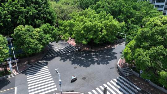 城市街道路口小区街景道路交通绿化十字路口