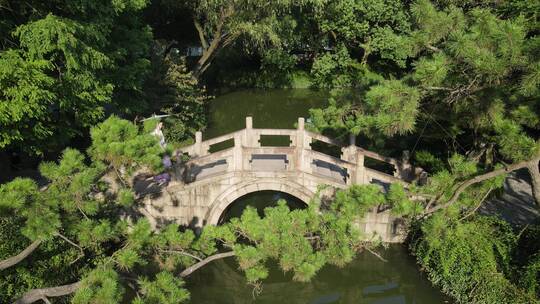 上海醉白池公园4K航拍原素材