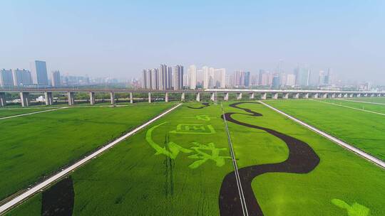 航拍杭州萧山开发区高速电气化电路和中国梦