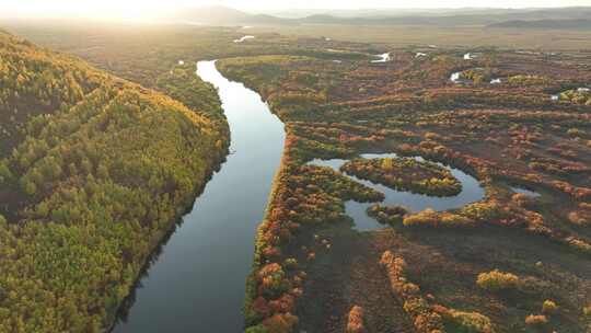 航拍额尔古纳国家湿地公园景区秋季自然风光