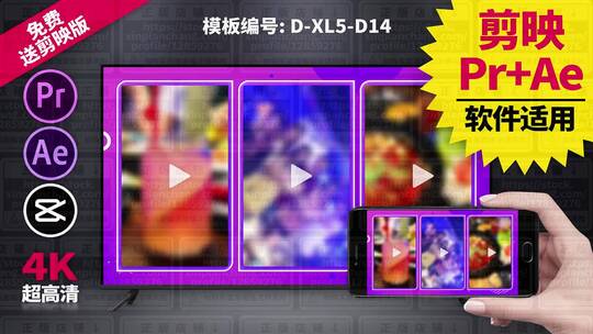 视频包装模板Pr+Ae+抖音剪映 D-XL5-D14
