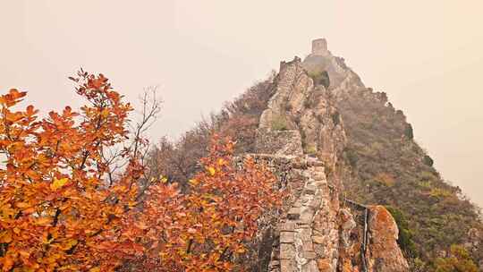 北京秋天司马台长城群山红叶大气宣传片