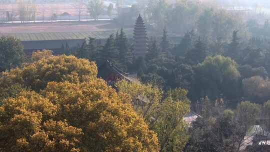 航拍洛阳白马寺