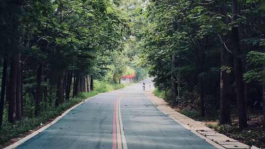 乡间小路孩子骑自行车奔跑绿荫小路