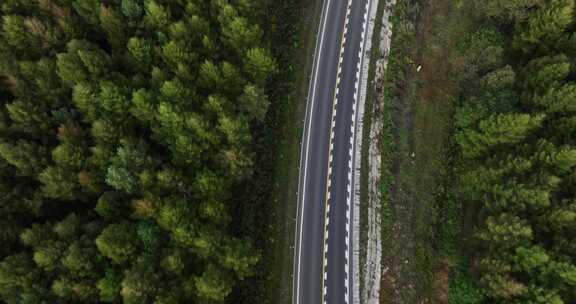 穿过森林的道路俯瞰航拍