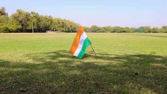 白天，孩子们拿着印度三色国旗在绿色运动场视频素材模板下载