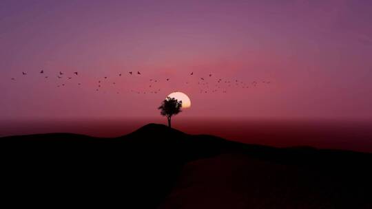 日落时围着树飞来飞去的鸟群