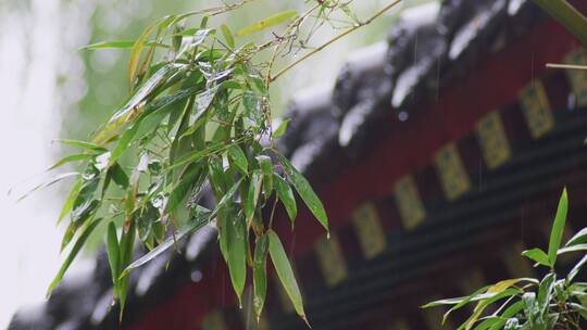 古建筑屋檐雨滴