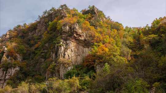 秋色秋叶峡谷山谷