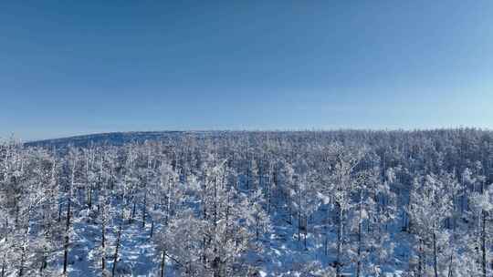 大兴安岭原始森林高山雾凇