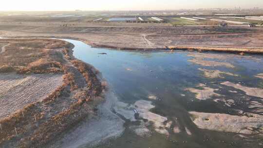 航拍鸟类栖息地 航拍鸟 湿地 航拍湿地