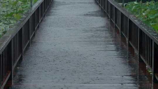 荷花池古风走到长廊下雨雨滴