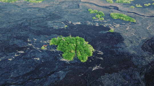 摧毁道路住宅的黑色冰冻火山熔岩鸟瞰图