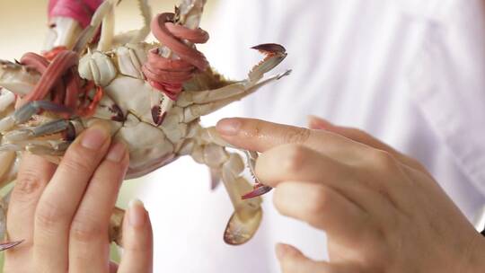 【镜头合集】手里拿起一只梭子蟹