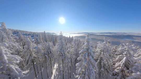 大雪雾凇森林雪景