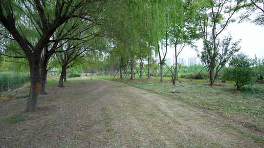 武汉光谷三路湿地公园风景