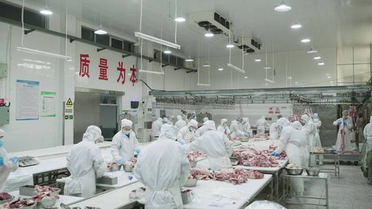 现代化牛肉羊肉加工厂4k视频素材模板下载