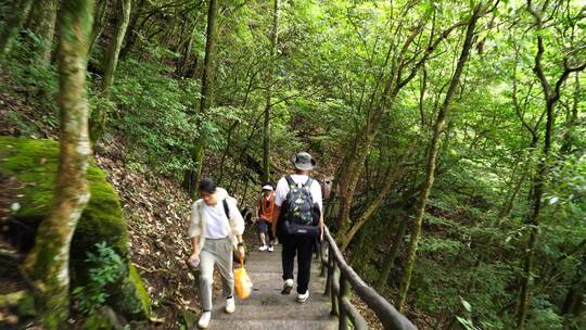 清晨爬山登山上楼梯背影脚步特写森林爬楼梯