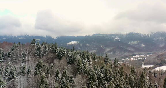 白雪覆盖的森林鸟瞰