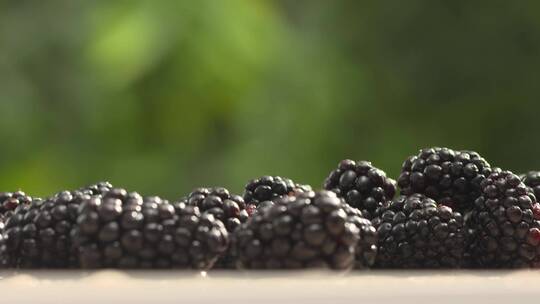 黑莓 桑葚 水果视频素材模板下载