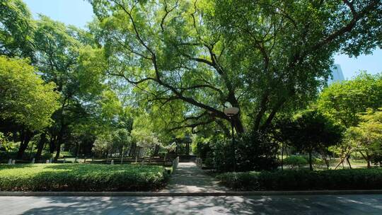 广西柳州柳侯祠公园开元寺遗址