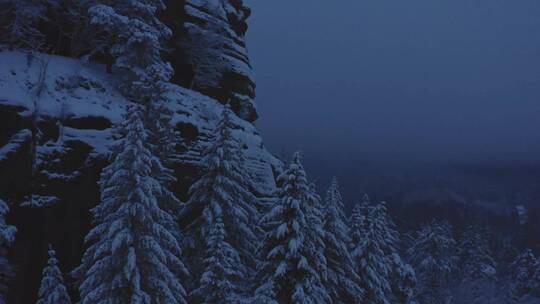 美丽的大自然冬天 高山森林树林雪景特写