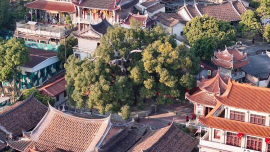 福建莆田东山报恩寺航拍