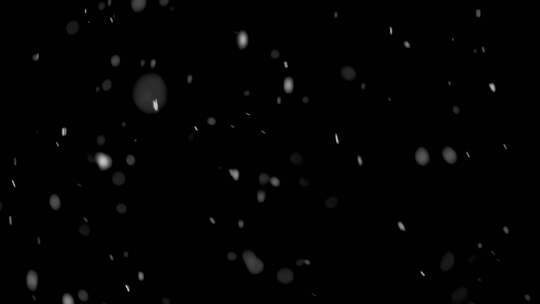 大雪纷飞 暴风雪 大雪【黑色背景素材】