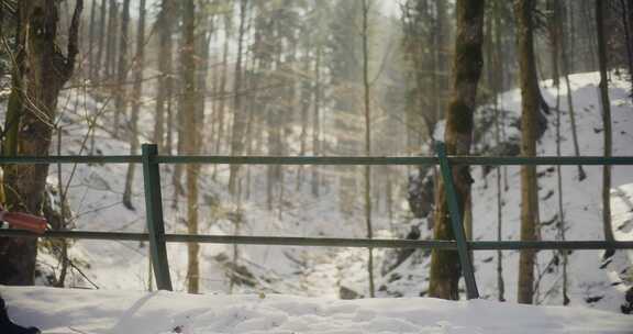 女人，雪，徒步旅行，格子衬衫