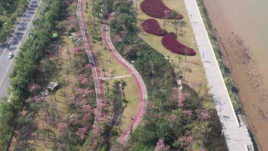 城市风光带花海航拍