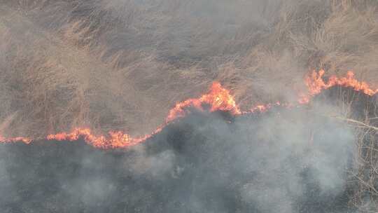 着火 火灾 山火 防火 消防安全 消防