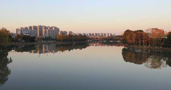 阳光湖水树林美丽冬天城市湿地公园生态风光