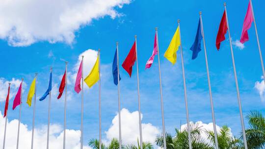 南宁国际会展中心广场的一排旗杆彩旗飘飘视频素材模板下载
