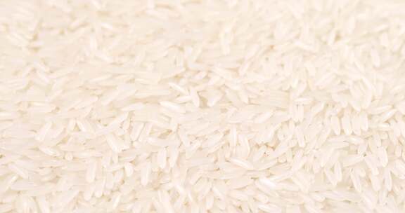 五常大米粮食米粒