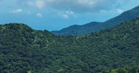 最新航拍香港大屿山海边渔村