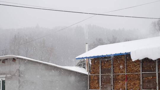 东北冬天冰霜雪花下落慢动作