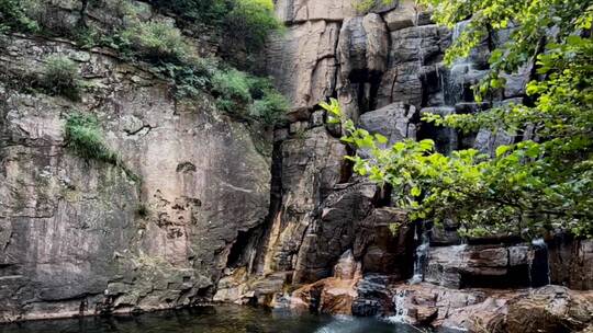 森林公园风光风景